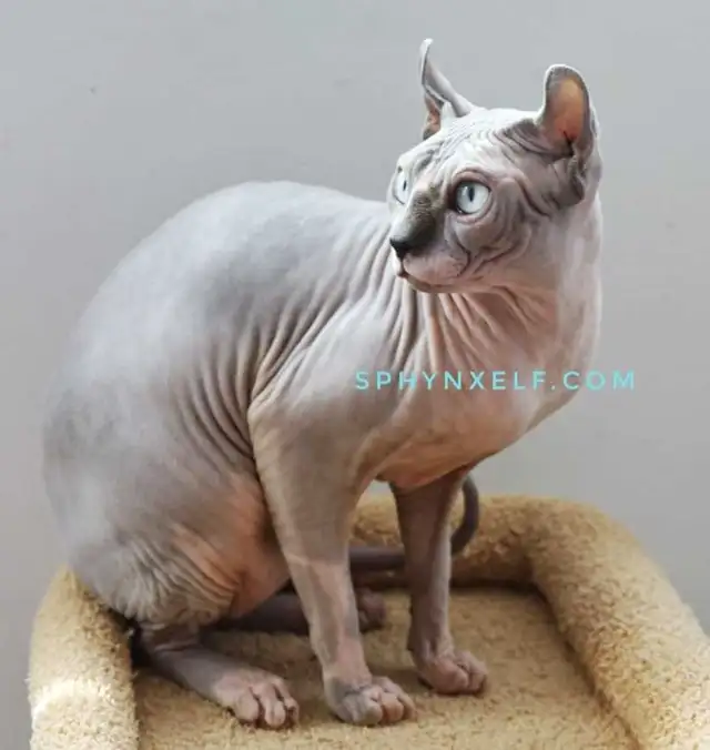 Lucy Need to give her big heart ❤️ - Photo 4