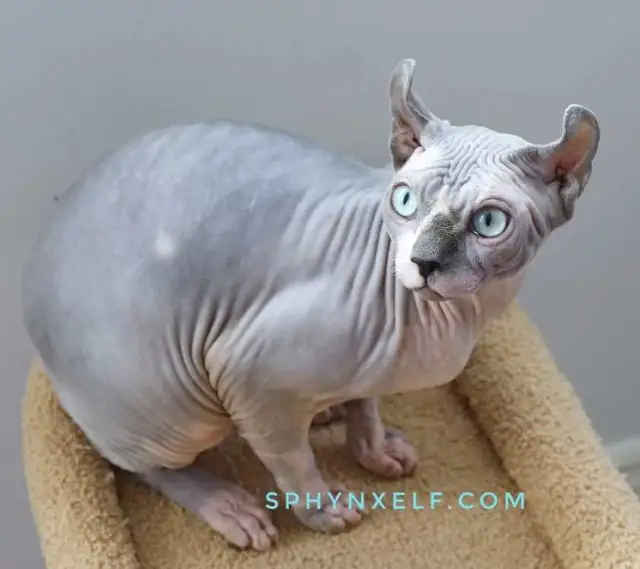 Lucy Need to give her big heart ❤️ - Photo 5