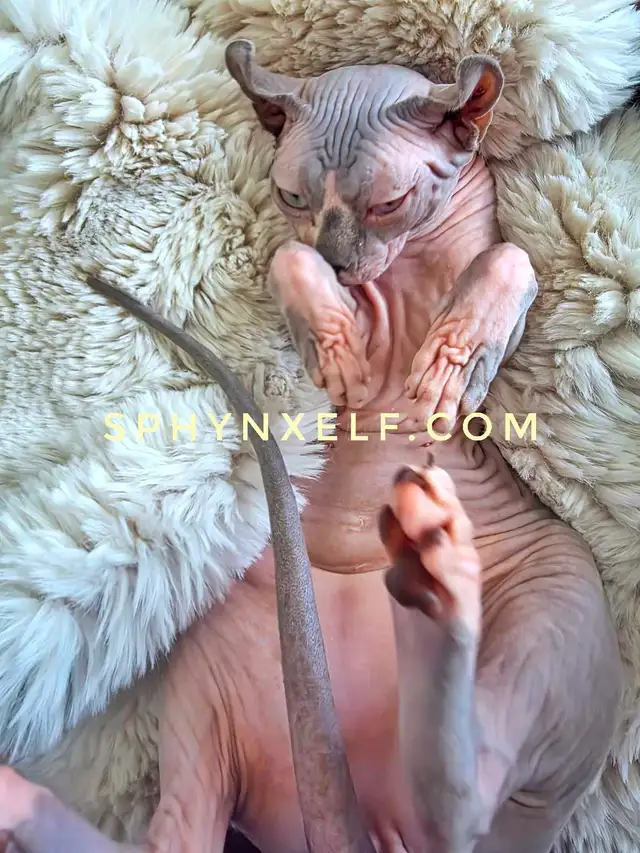 Lucy Need to give her big heart ❤️ - Photo 9