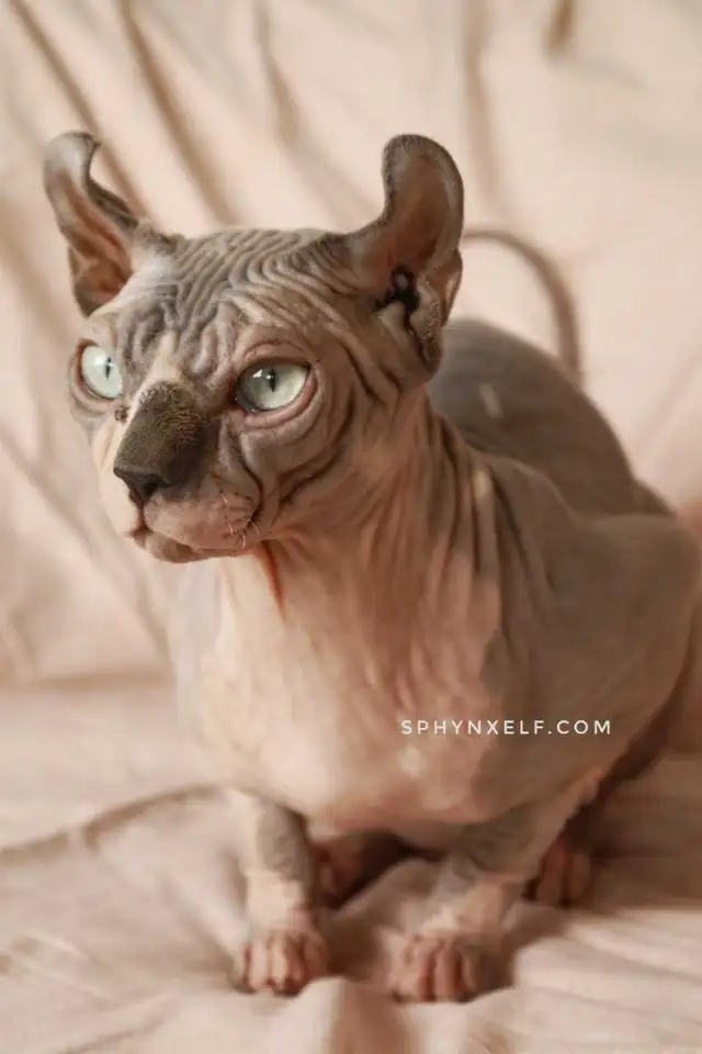 Lucy Need to give her big heart ❤️ - Photo 10