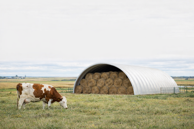 Pre-Engineered Steel Buildings - Easy Assembly - Save Big - Photo 6