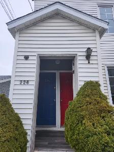 228 Watson - 2BR Den, Bottom Floor Duplex, West, Backyard, W/D