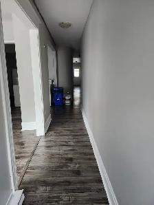 11A Harding - 2 BR Uptown, Laundry, Yard - Photo 2