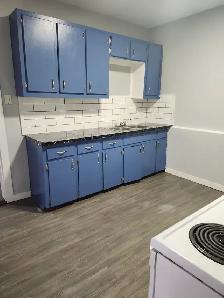 228 Watson - 2BR Den, Bottom Floor Duplex, West, Backyard, W/D - Photo 11