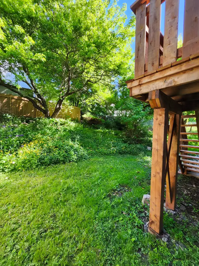 11A Harding - 2 BR Uptown, Laundry, Yard - Photo 11
