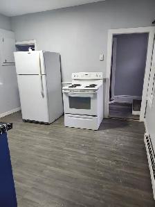 228 Watson - 2BR Den, Bottom Floor Duplex, West, Backyard, W/D - Photo 12