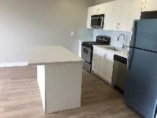 1 Bed Apartment for Rent in Toronto - Photo 5