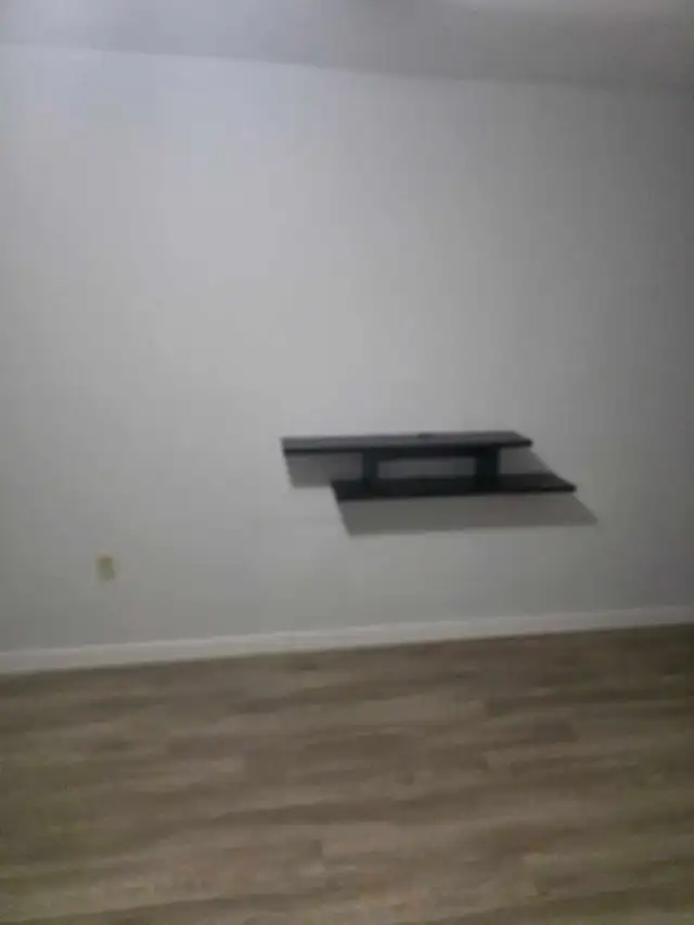 Looking for a female roommate ASAP! - Photo 3