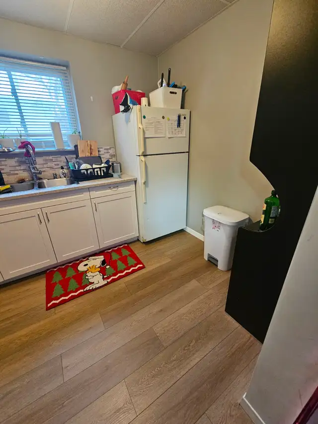 Att: Female Trent Students - 2 rooms available May 1st - Photo 2