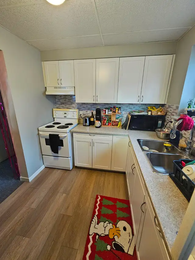 Att: Female Trent Students - 2 rooms available May 1st - Photo 3