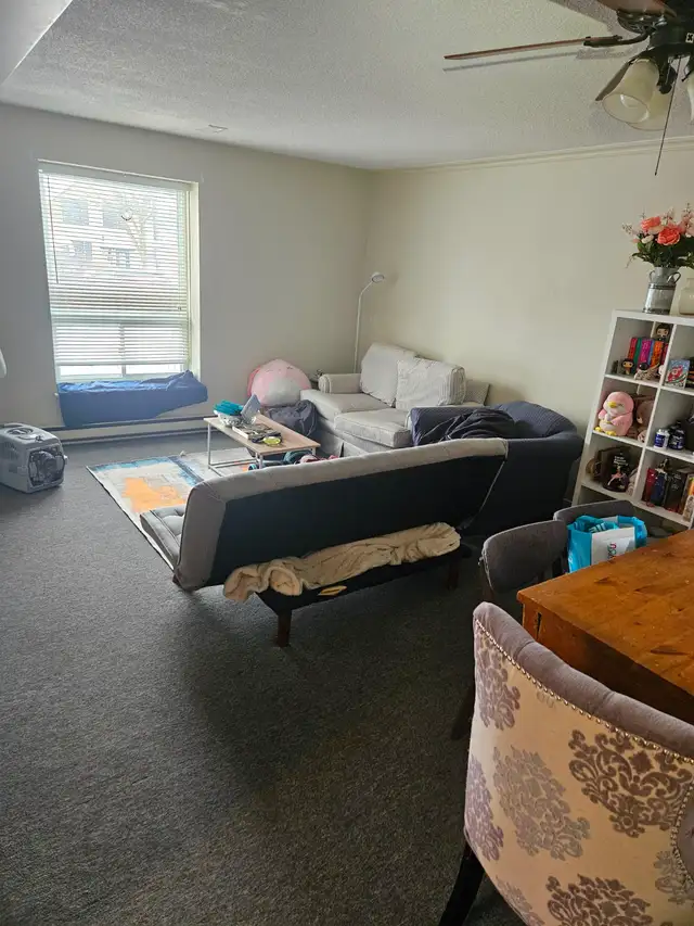 Att: Female Trent Students - 2 rooms available May 1st - Photo 4