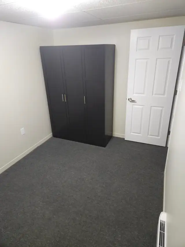 Att: Female Trent Students - 2 rooms available May 1st - Photo 7