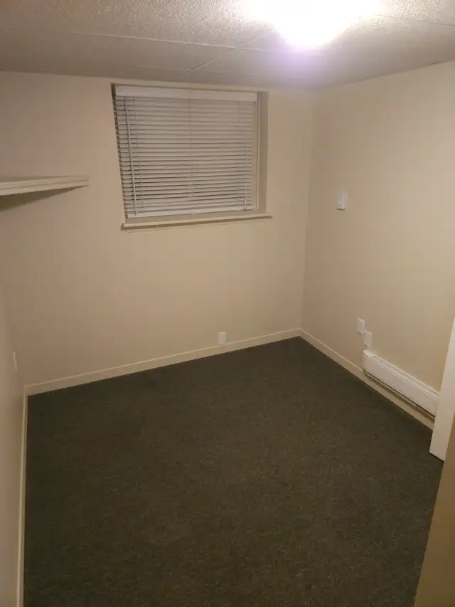 Att: Female Trent Students - 2 rooms available May 1st - Photo 9