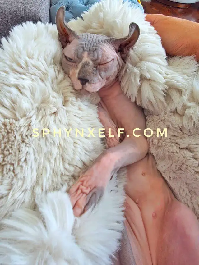 Beautiful Calm Lovable Elegant Lucy - Photo 9