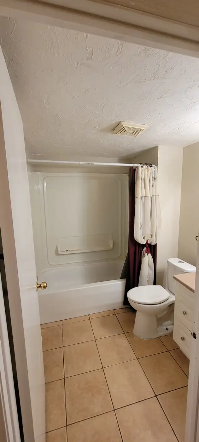 2 BEDROOM APARTMENT(1YR-LEASE) FOR RENT IN BEAUTIFUL ST-ANTOINE - Photo 4