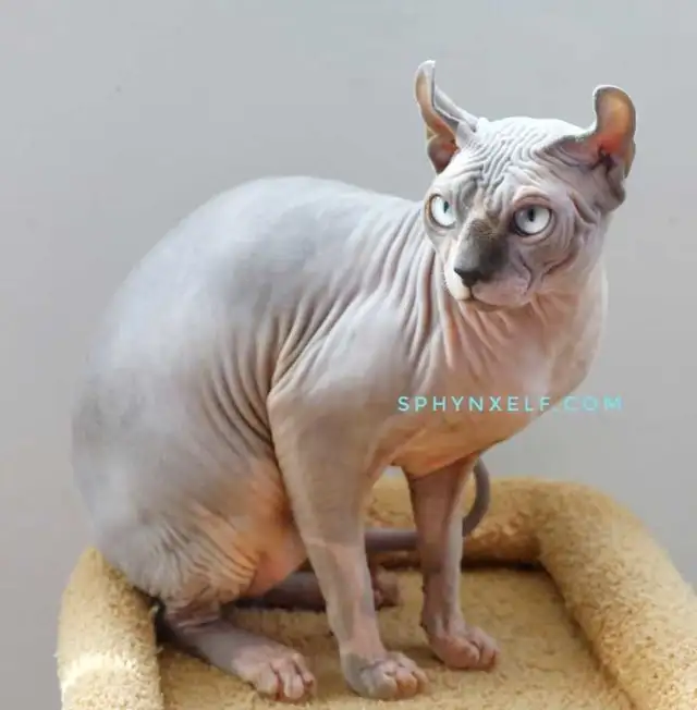 Calm Lovable Elegant Girl❤️ - Photo 4