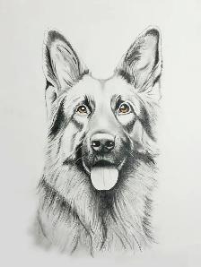 Custom Art - Photo 2