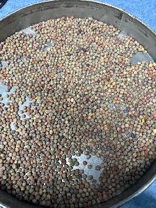 Clean large animal feed - Photo 2