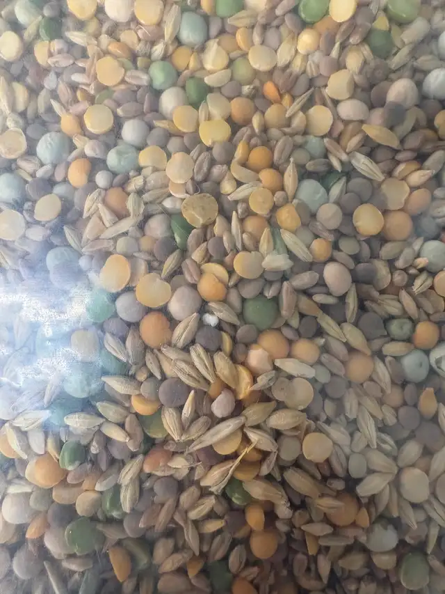 Clean large animal feed - Photo 4