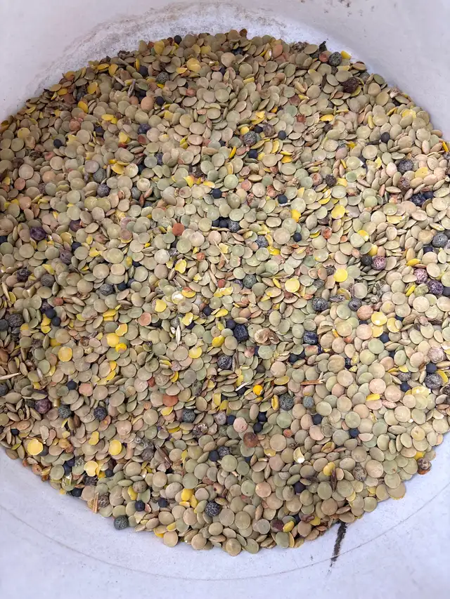 Clean large animal feed - Photo 5