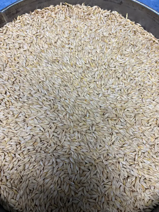 Clean large animal feed - Photo 6