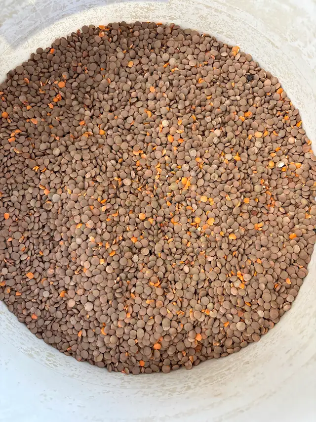 Clean large animal feed - Photo 7