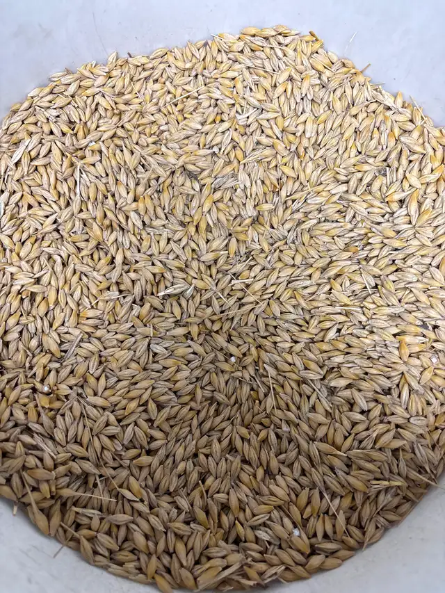 Clean large animal feed - Photo 8