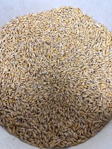 Clean large animal feed - Photo 8