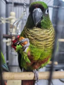 Bird Sitting - Photo 5