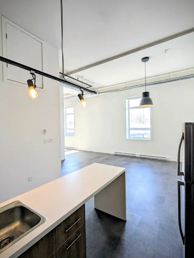 NOW LEASING: Rare Large 2-Bedroom Unit at Sought After TEL Lofts - Photo 2