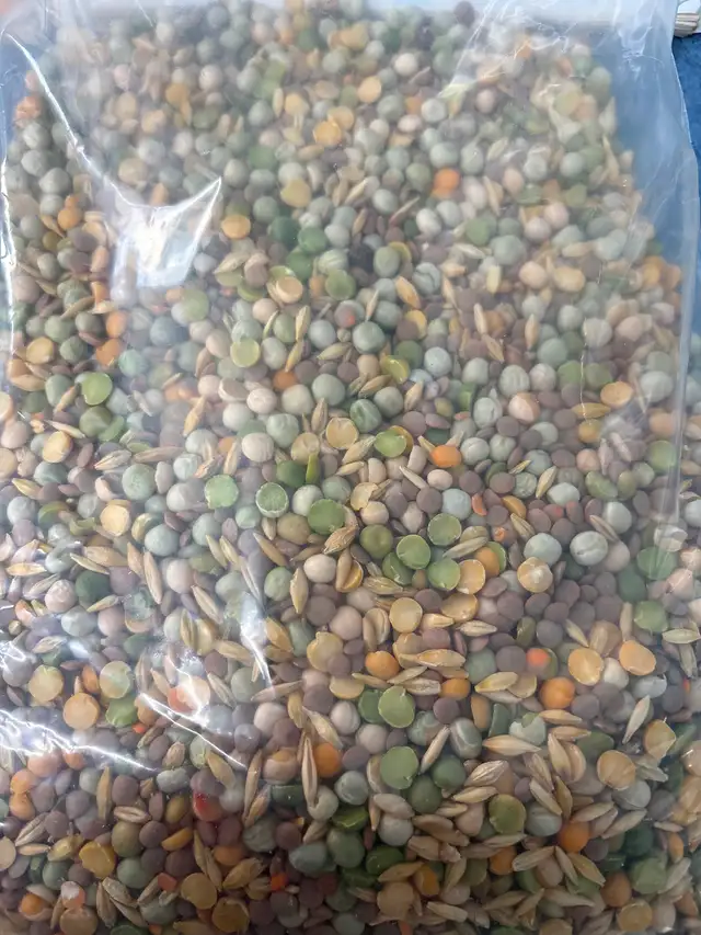 Clean chicken/bird feed - Photo 5