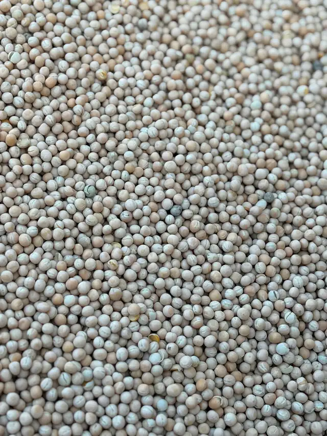 Clean chicken/bird feed - Photo 10