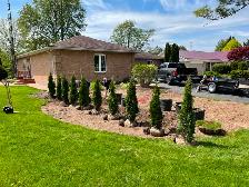 Ontario Grown Trees - Photo 2