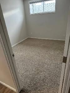 Carpet & Upholstery Steam Cleaning Calgary - Photo 6