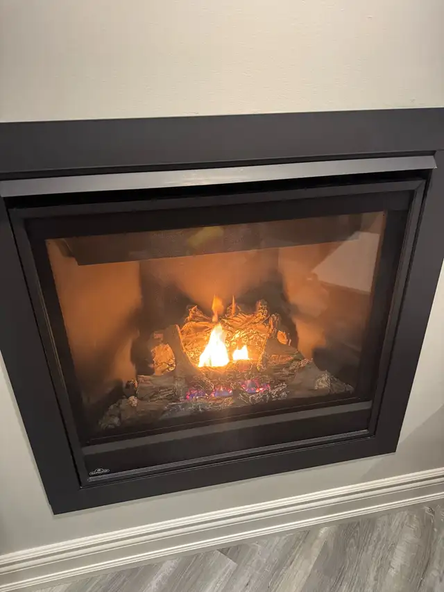 NATURAL GAS FIREPLACE MAINTENCE AND REPAIR