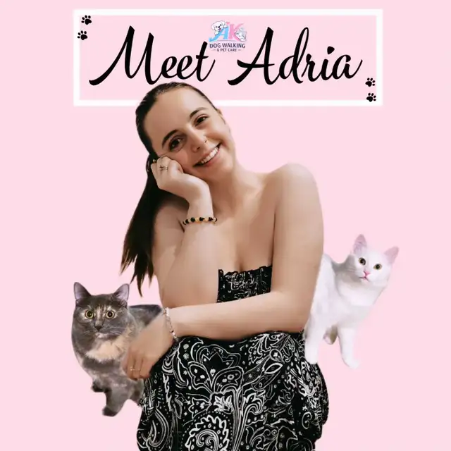 Private Dog walking/Pet Drop Ins