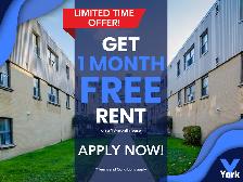 Two Bedroom Apartment- Old South /Vintage and Original