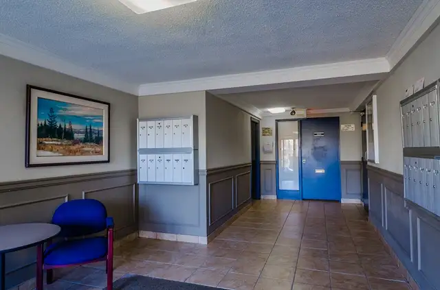 Two Bedroom Apartment- Old South /Vintage and Original - Photo 8