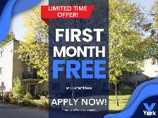 Affordable 1 Bedroom Apartment in Sarnia