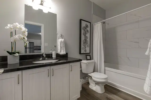 Brand New! 4-Bedroom Student Rental - September 1st! $1295/Bed - Photo 8