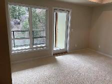 Summit Pointe #2405 - Photo 10