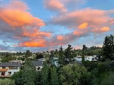 Summit Pointe #2405 - Photo 18