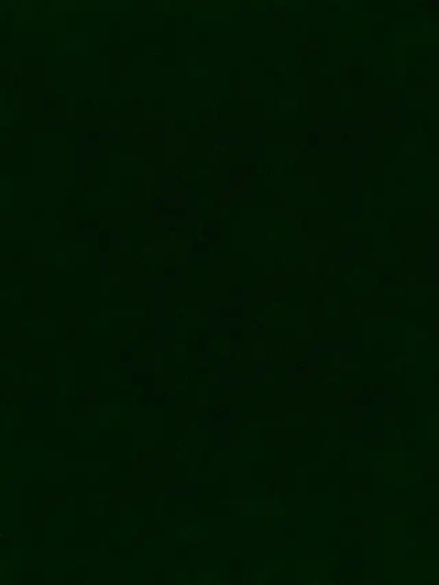 Looking for AZ team driver for dedicated run