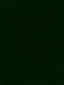 Looking for AZ team driver for dedicated run