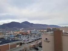 Royal Residences #609 - Photo 8