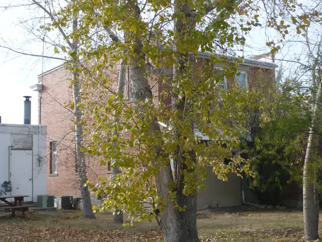 Office Building in Shaunavon For Sale with Lots of Character - Photo 2