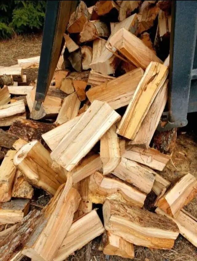 Premium Firewood for sale - Photo 4