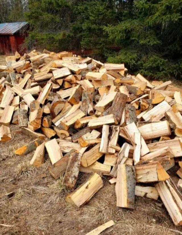 Premium Firewood for sale - Photo 5