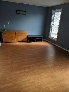 Move in today! Woodroffe/Majestic, 4 min to Algonquin - Photo 2