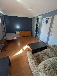 Move in today! Woodroffe/Majestic, 4 min to Algonquin - Photo 5